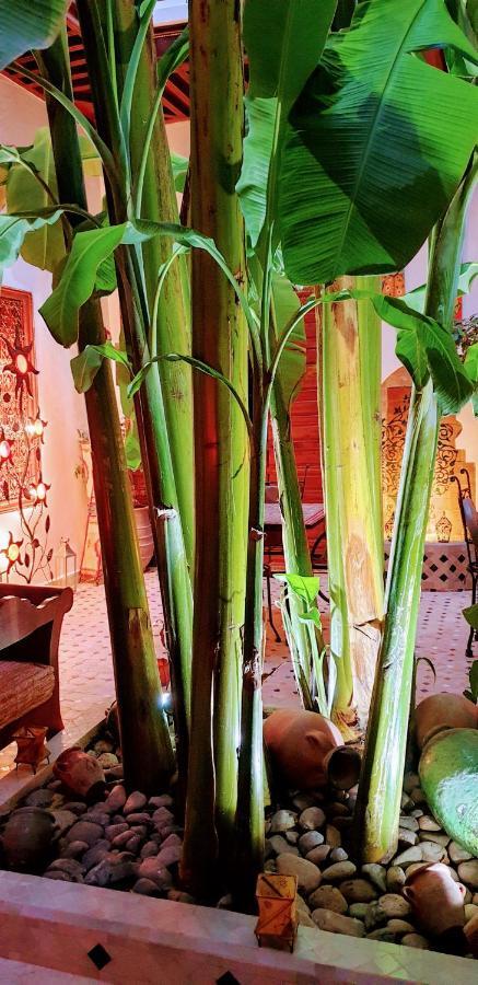 Riad Mehdia Marrakesh Exterior photo